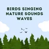 Birds Singing Nature Sounds Waves